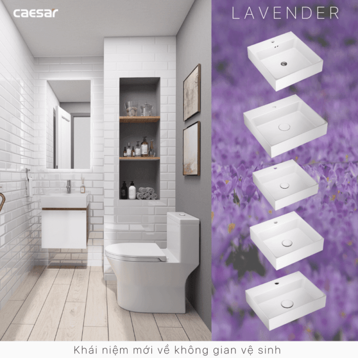 Chậu lavabo đặt bàn CAESAR LF5255 - Ảnh 19