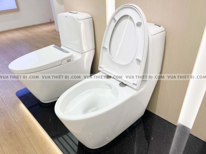 Bồn cầu 2 khối INAX AC-832VN (AC832VN) Aqua Ceramic nắp êm (1)