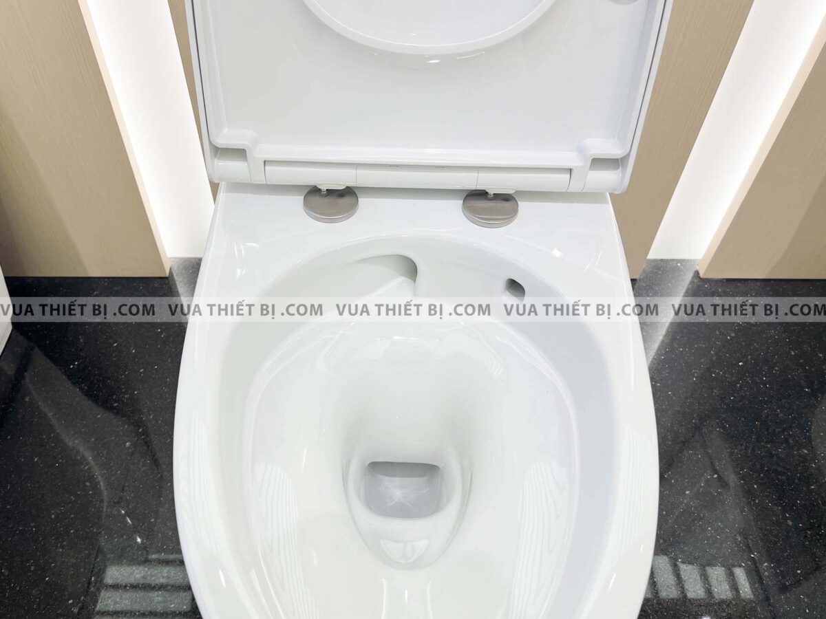 Bồn cầu 2 khối INAX AC-832VN (AC832VN) Aqua Ceramic nắp êm (1)