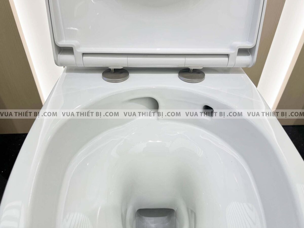 Bồn cầu 2 khối INAX AC-832VN (AC832VN) Aqua Ceramic nắp êm (1)