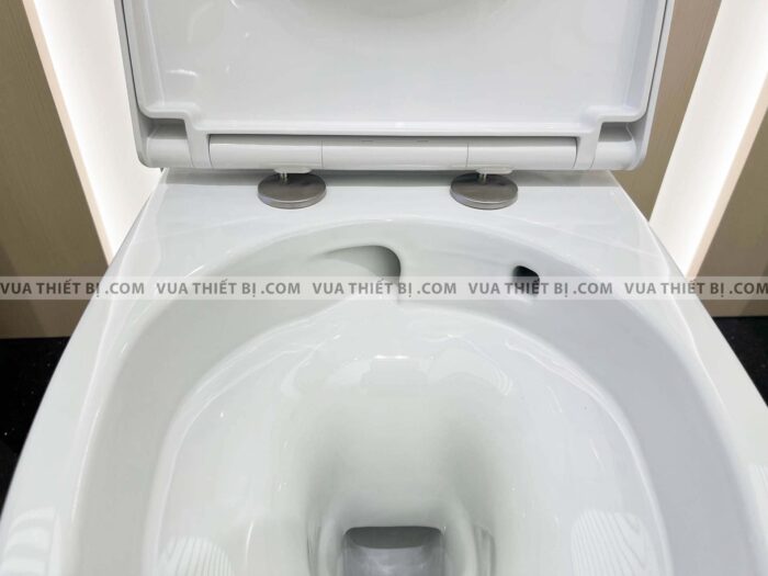 Bồn cầu 2 khối INAX AC-832VN (AC832VN) Aqua Ceramic nắp êm (1)