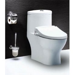 Bồn Cầu Nắp Rửa Cơ CAESAR CD1375 TAF050 1 Khối 1