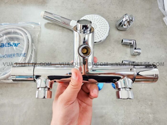 Vòi sen cây Caesar TS617 BS126 nhiệt độ - Ảnh 5