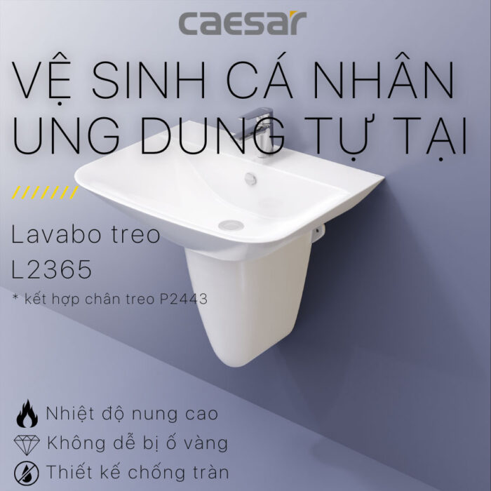 chậu lavabo treo tường CAESAR L2365 P2443 chân lửng - Ảnh 4
