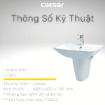 chậu lavabo treo tường CAESAR L2365 P2443 chân lửng - Ảnh 5