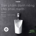 Bồn tiểu nam CAESAR U0233 treo tường - Ảnh 4