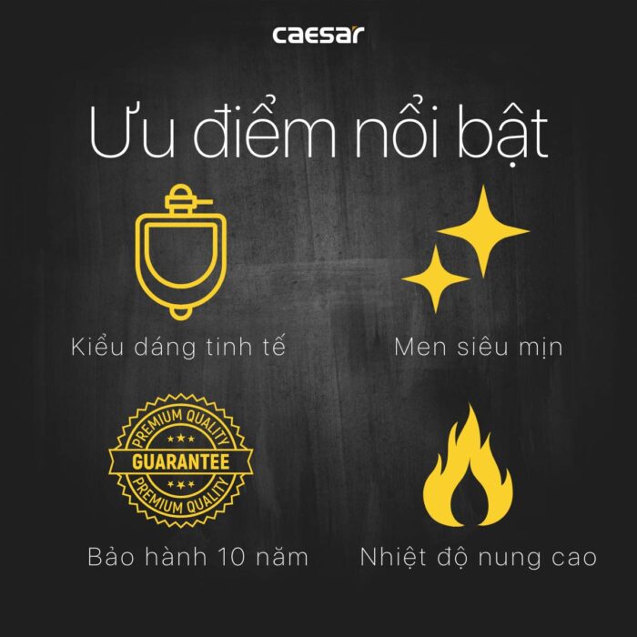 Bồn tiểu nam CAESAR U0233 treo tường - Ảnh 5