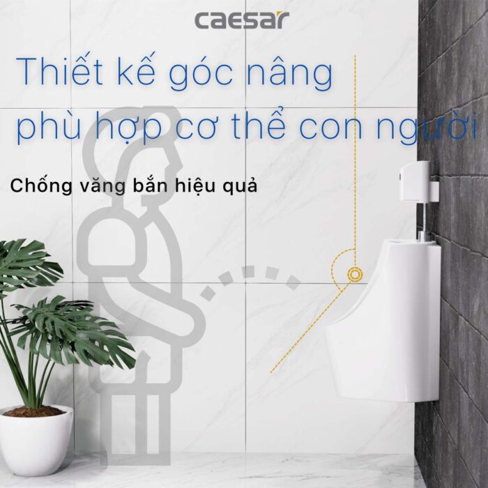 Bồn tiểu nam CAESAR U0233 treo tường - Ảnh 7
