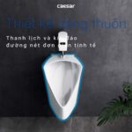 Bồn tiểu nam CAESAR U0233 treo tường - Ảnh 10