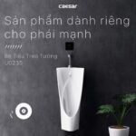 Bồn tiểu nam CAESAR U0235 treo tường - Ảnh 4
