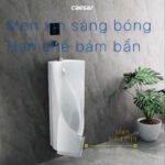 Bồn tiểu nam CAESAR U0235 treo tường - Ảnh 8