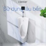 Bồn tiểu nam CAESAR U0235 treo tường - Ảnh 9