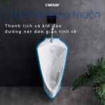 Bồn tiểu nam CAESAR U0235 treo tường - Ảnh 10