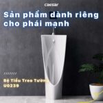 Bồn tiểu nam CAESAR U0239 đặt sàn - Ảnh 3