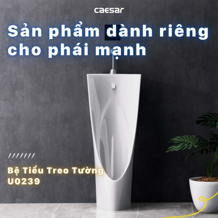 Bồn tiểu nam CAESAR U0239 đặt sàn - Ảnh 3