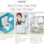 Bồn tiểu nam CAESAR U0239 đặt sàn - Ảnh 12