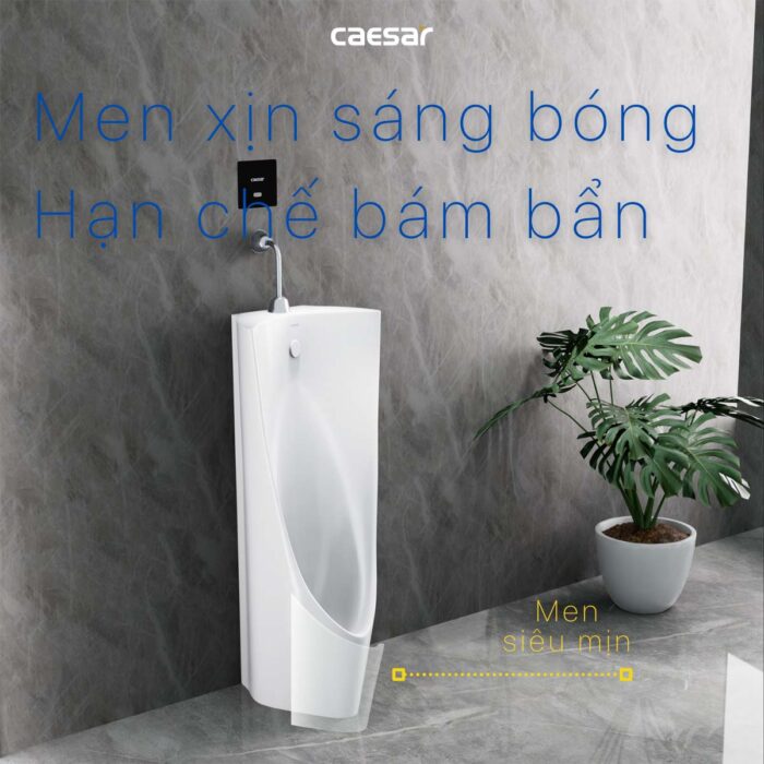 Bồn tiểu nam CAESAR U0239 đặt sàn - Ảnh 7
