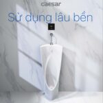 Bồn tiểu nam CAESAR U0239 đặt sàn - Ảnh 6