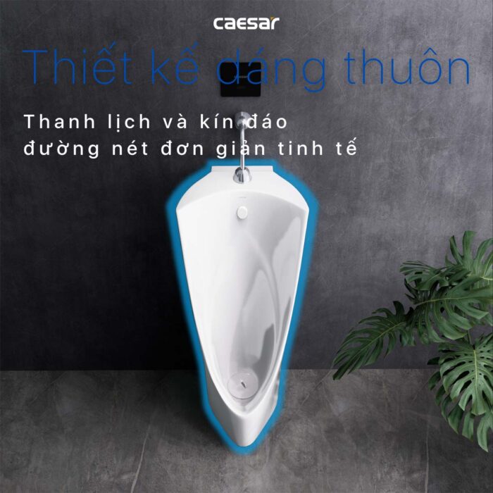Bồn tiểu nam CAESAR U0239 đặt sàn - Ảnh 5