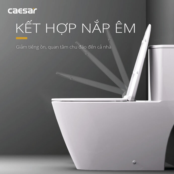 Bồn cầu 1 khối CAESAR C1363 nắp êm MU263 - Ảnh 9