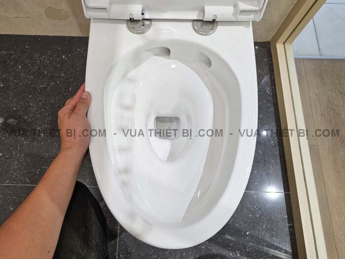 Bồn cầu 1 khối INAX AC-902VN (AC902VN) Aqua Ceramic nắp êm - Ảnh 12