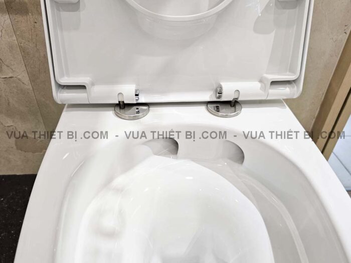 Bồn cầu 1 khối INAX AC-902VN (AC902VN) Aqua Ceramic nắp êm - Ảnh 9