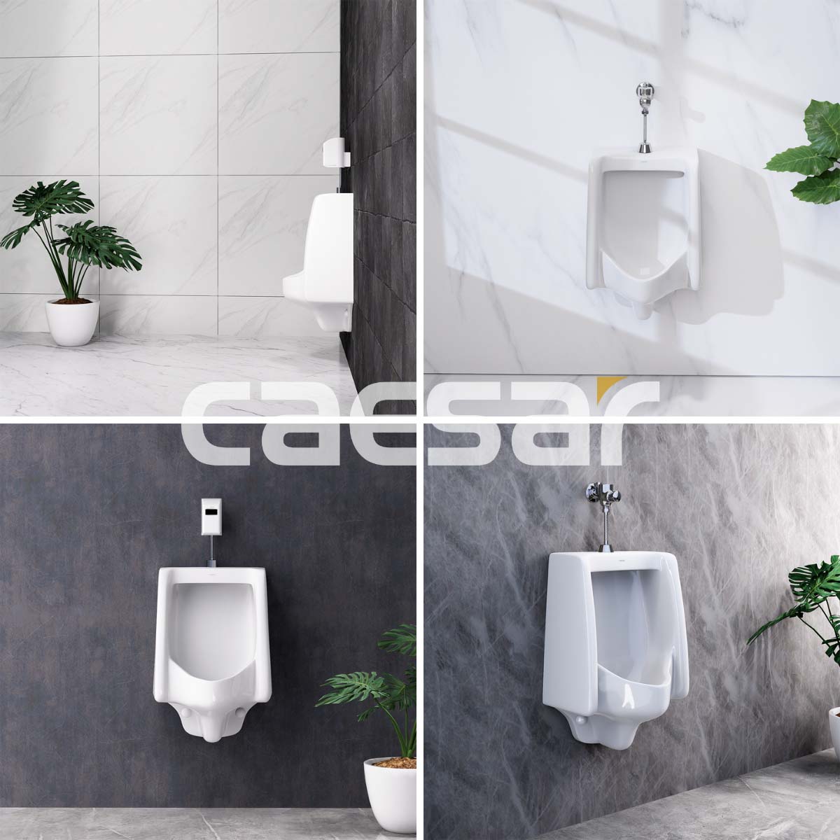 Bon tieu nam Caesar U0240 treo tuong