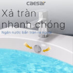 chậu lavabo treo tường Caesar L2152 P2443 chân lửng - Ảnh 8