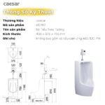 Bồn tiểu nam Caesar U0282 treo tường - Ảnh 3