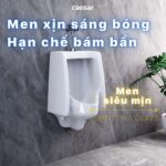 Bồn tiểu nam Caesar U0240 treo tường - Ảnh 8