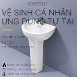 Chậu lavabo treo tường CAESAR L2150 P2445 chân dài - Ảnh 4