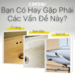 Chậu lavabo treo tường CAESAR L2150 P2445 chân dài - Ảnh 5