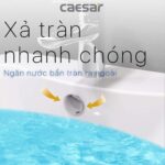 Chậu lavabo treo tường CAESAR L2150 P2445 chân dài - Ảnh 9