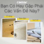 Chậu lavabo treo tường Caesar L2150 P2443 chân lửng - Ảnh 6
