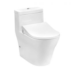 Bồn cầu 1 khối TOTO CW166RB TCW09S nắp rửa cơ