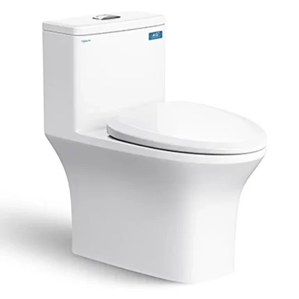 Bồn cầu 1 khối VIGLACERA V700 FANSIPAN nắp êm