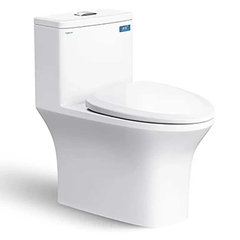 Bồn cầu 1 khối VIGLACERA V700 FANSIPAN nắp êm