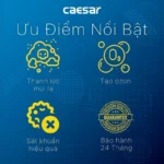 Máy tạo Ozon CAESAR A610OZ sát khuẩn - Ảnh 3