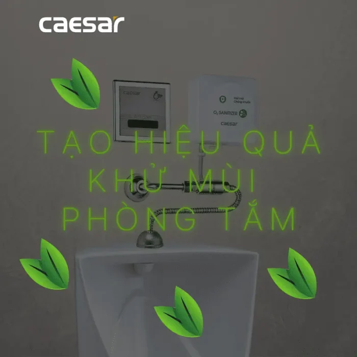 Máy tạo Ozon CAESAR A610OZ sát khuẩn - Ảnh 4