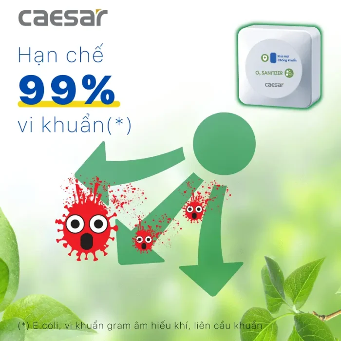 Máy tạo Ozon CAESAR A610OZ sát khuẩn - Ảnh 5
