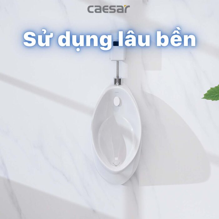 Bồn tiểu nam CAESAR U0211 treo tường - Ảnh 7