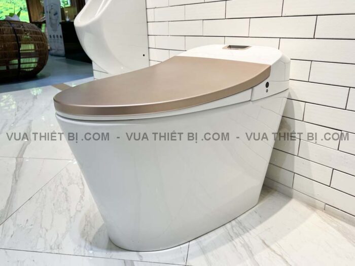 Bồn cầu thông minh VIGLACERA V94.GW V-SMART nắp điện tử - Ảnh 7