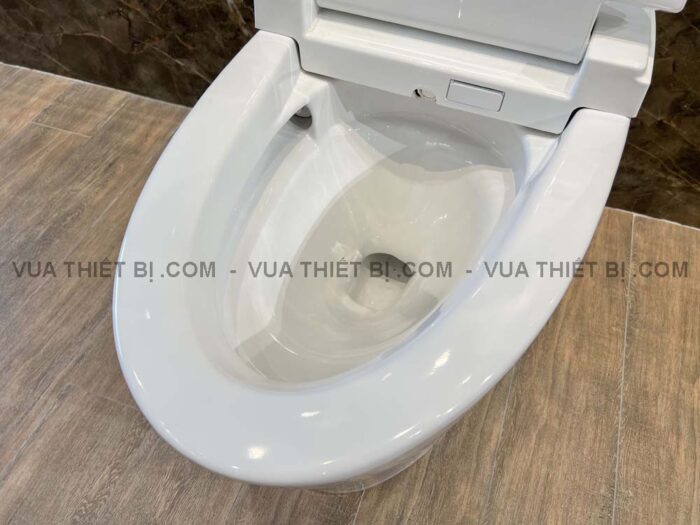 Bồn cầu thông minh VIGLACERA V94.R V-SMART nắp điện tử - Ảnh 9