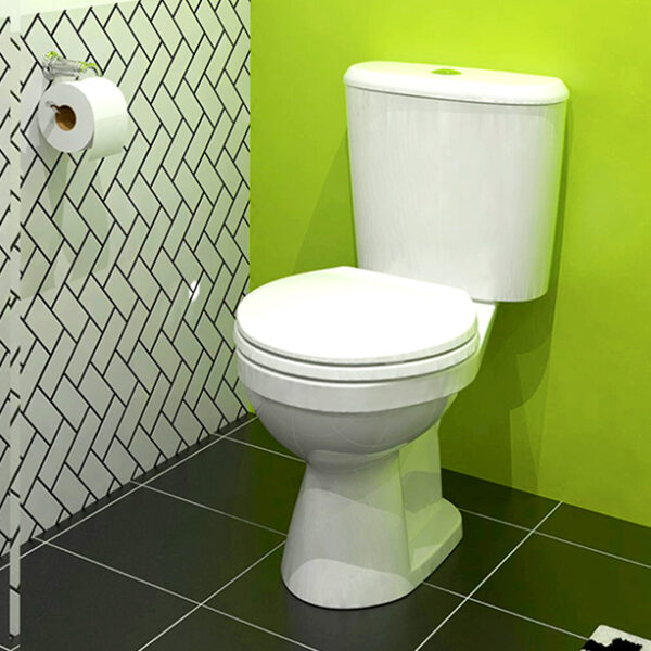 Bon cau 2 khoi AMERICAN STANDARD VF 2396 Dong WINSTON PLUS nap thuong 1