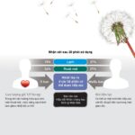 Quạt trần Panasonic F 60DHN 5 cánh đen điều khiển (7)