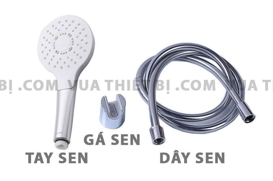Tay sen tắm TOTO TBW01008A 1 chế độ phun massage