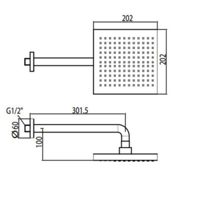 Bản vẽ kỹ thuật Bát sen âm tường American Standard WF-9052 dòng Acacia