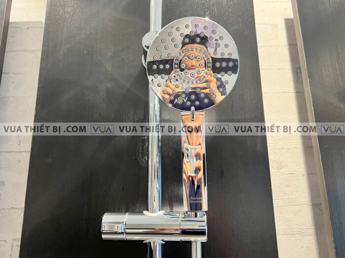 anh thuc te american standard wf 4952 6