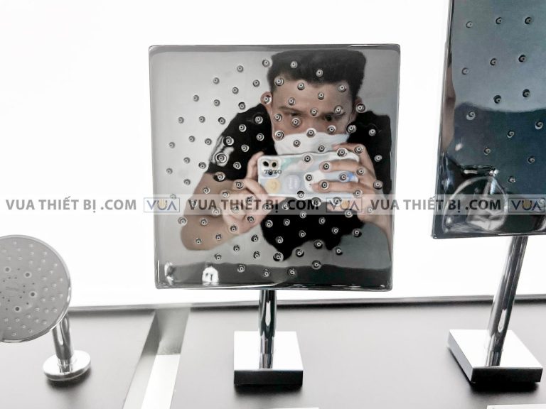 anh thuc te bat sen am tuong toto dbx115camr gan tuong 1