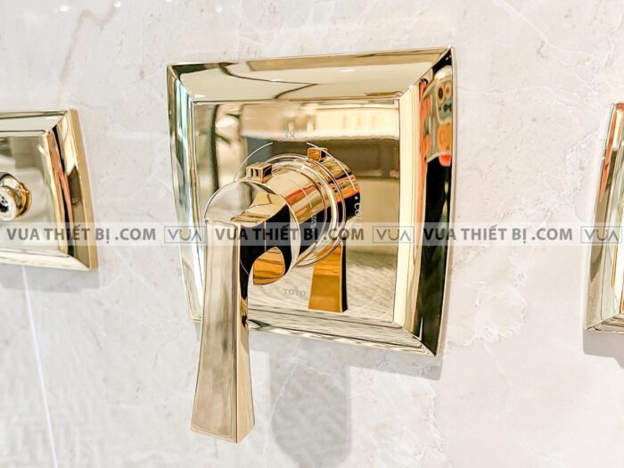 anh thuc te bo sen am tuong toto dbx121 1campg dbx131cpg dp355pgdv104 tbw01010b2pg dp354pg dv105r tbw01031bpg dp422pg dv418 3 duong nuoc 9